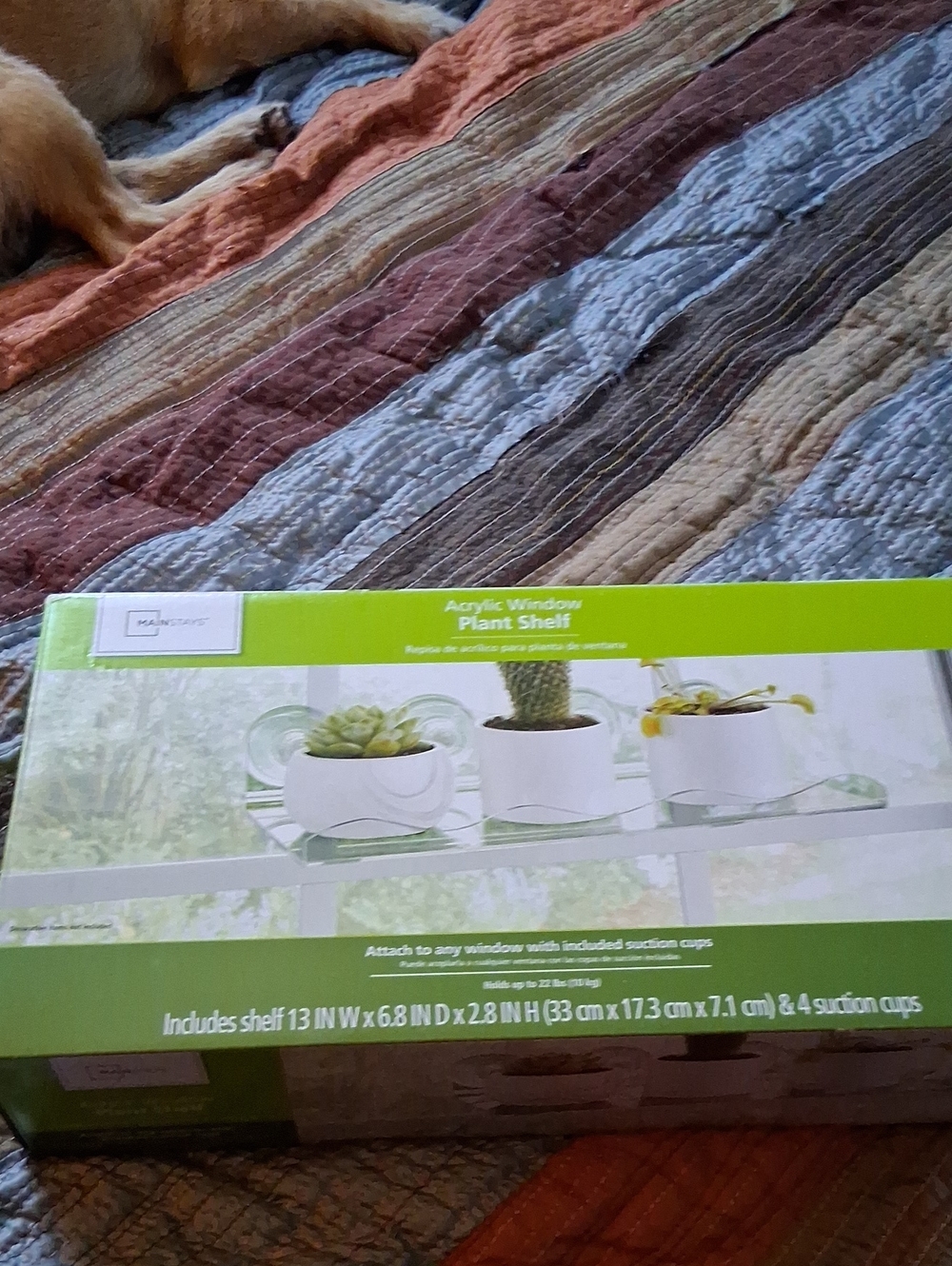 Mainstays Acrylic Window Plant Shelf - White/Clear